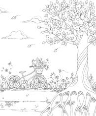 木の根と自転車
